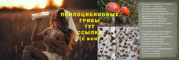 apvp Бугульма
