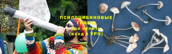ECSTASY Бронницы