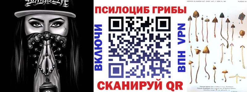 Галлюциногенные грибы Psilocybe  Купить где  Никольск 